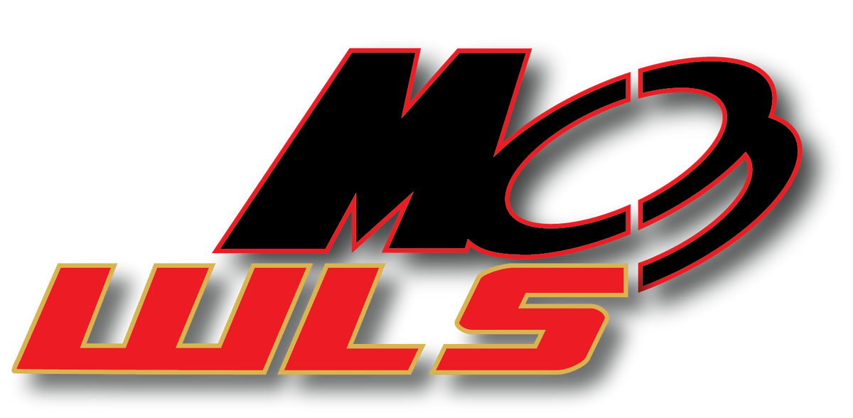 MC3WLS- 1:28 and Mini-Z Parts Manufacturer